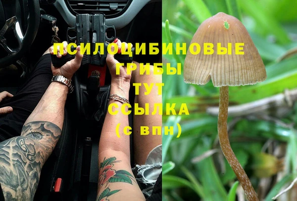 Альфа ПВП Алзамай