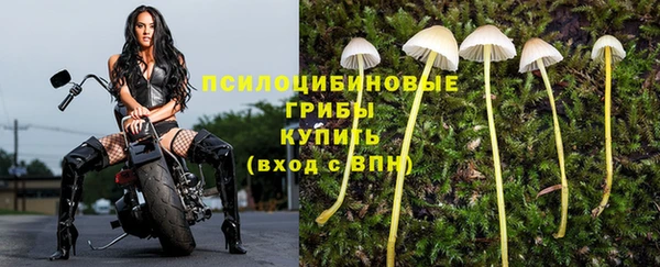 Альфа ПВП Алзамай