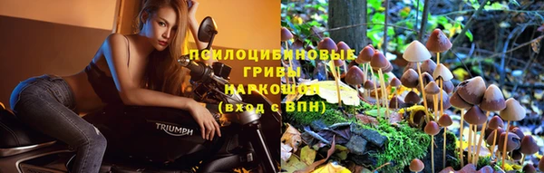 твердый Бугульма